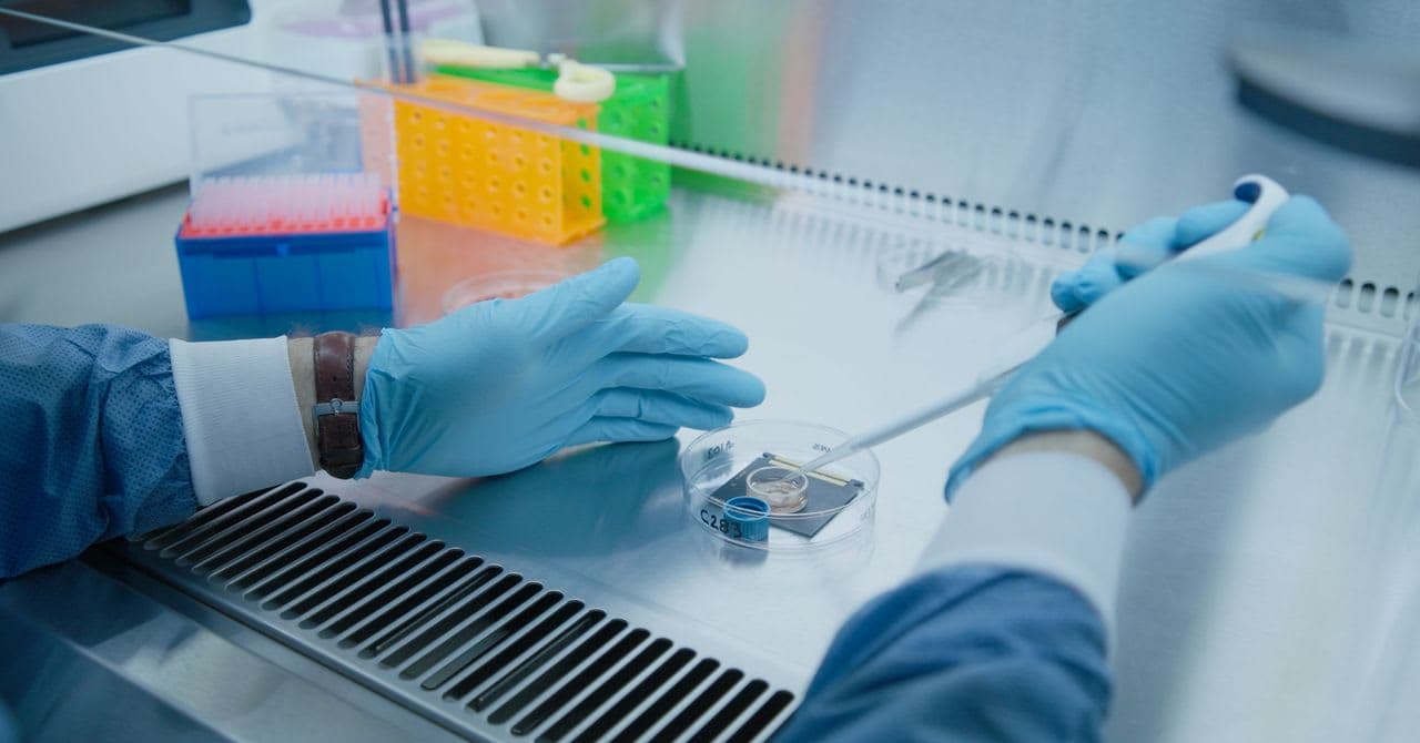 AI Models Built From Rat Brains: The Future of Biocomputing Explained