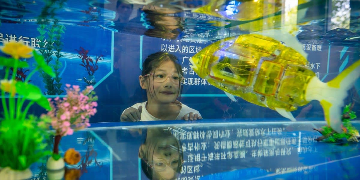 The Future of Robotics: My Experience at the Shanghai Robot Carnival